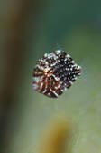 tkm001_539490