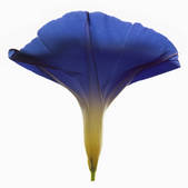 tkm001_540009