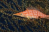 tkm001_540318