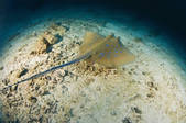 tkm001_540478