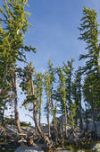 tkm001_540556