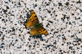 tkm001_540558