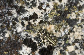 tkm001_540561