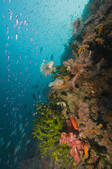 tkm001_540597