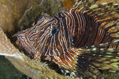 tkm001_540601