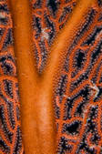 tkm001_540629