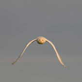 tkm001_541590
