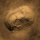 tkm001_541888