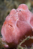 tkm001_542447