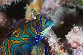 tkm001_542610