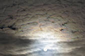 tkm001_543003