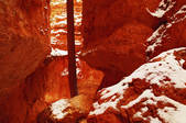 tkm001_544702