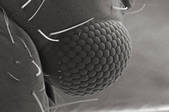 tkm001_545018
