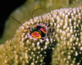 tkm001_545587