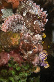 tkm001_546150
