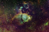 tkm001_546233