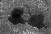 tkm001_546824