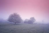 tkm001_590910