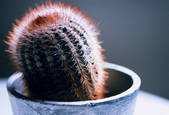 tkm001_601123