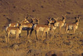 tkm001_601661