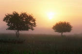 tkm001_606234