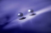 tkm001_608665