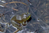 tkm001_609534
