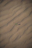 tkm001_630569