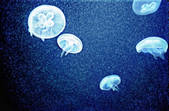 tkm001_636200