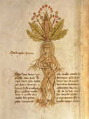 tkm001_759541