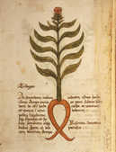 tkm001_759548