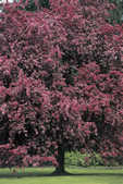 tkm001_769019