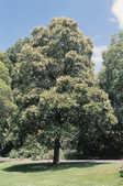 tkm001_770129