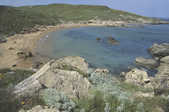 tkm001_774003