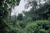 tkm001_774133