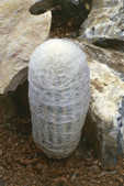 tkm001_775001