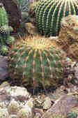 tkm001_775030