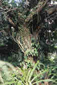 tkm001_776896