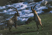 tkm001_780204