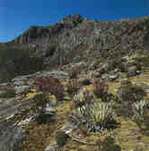 tkm001_782168