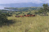 tkm001_786629