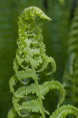 tkm001_804295