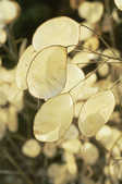 tkm001_804408