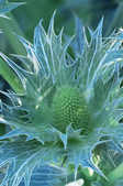tkm001_804495