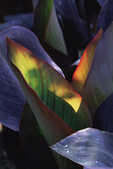 tkm001_804498
