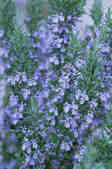 tkm001_804526