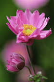tkm001_805185