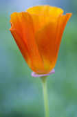 tkm001_805763