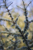 tkm001_807360
