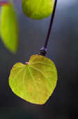 tkm001_807690